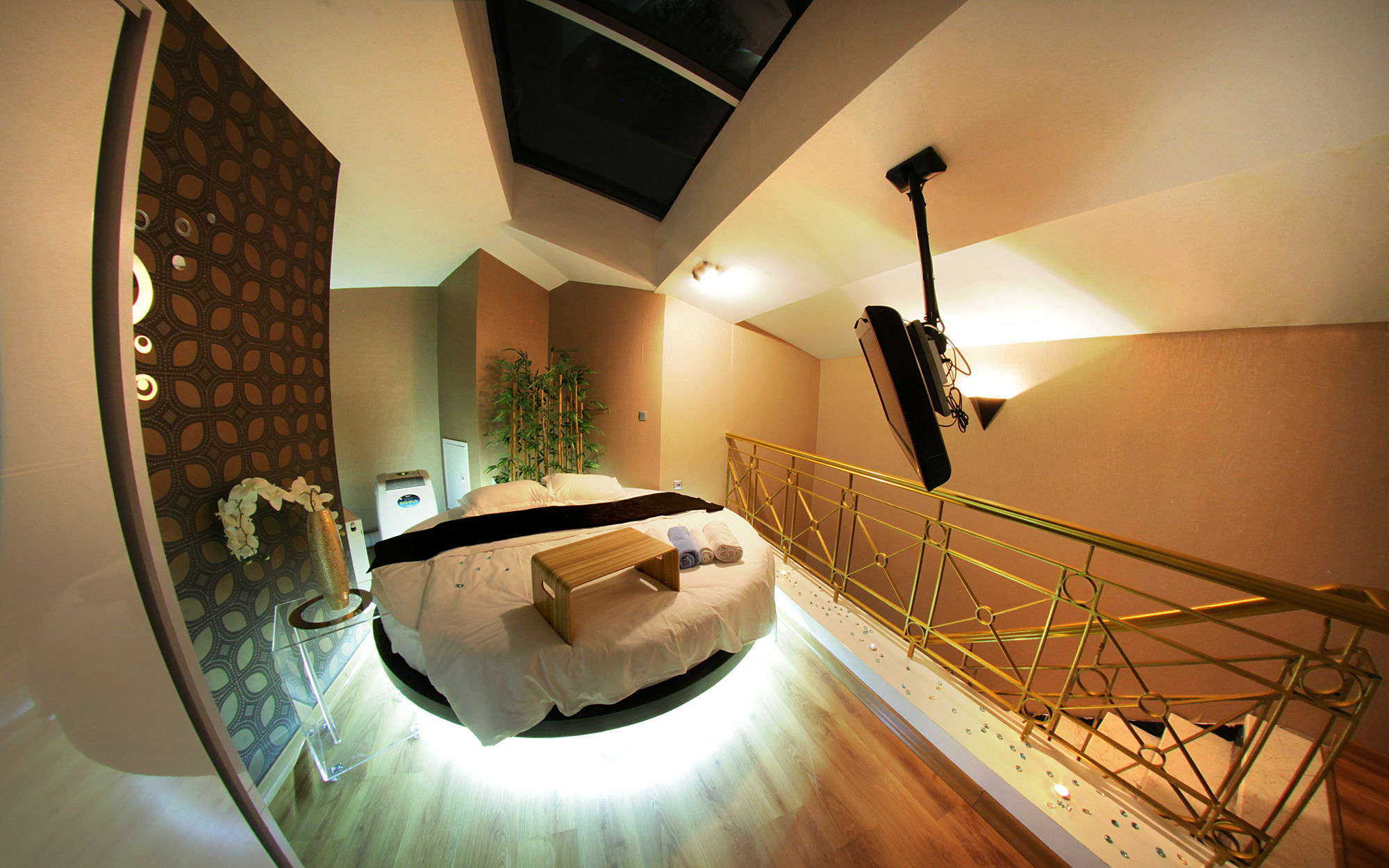 House Daire *